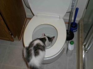 A young Leda intrigued by the toilet bowl