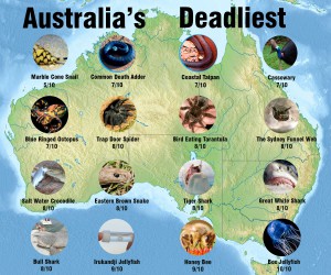 Australia's deadliest, on a scale from 1-10